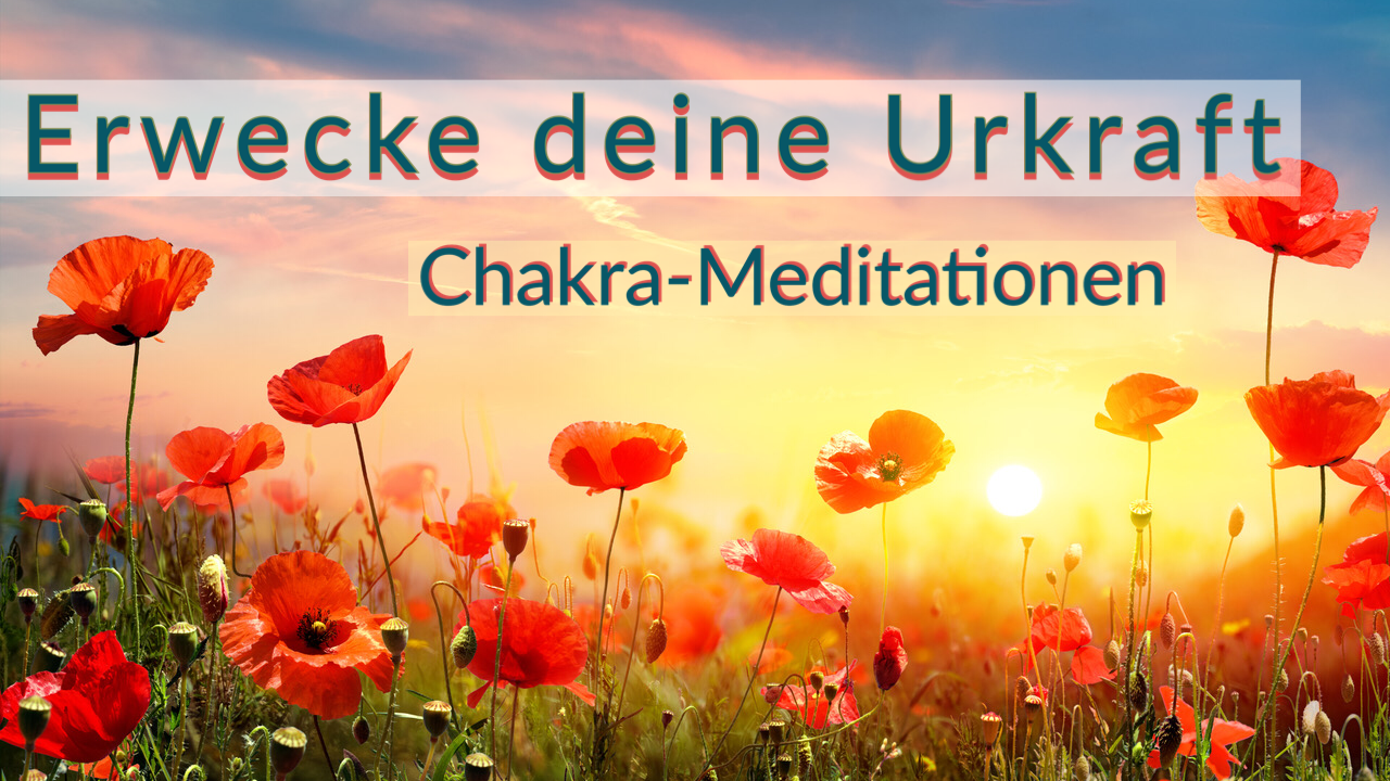 Read more about the article Meditationsreihe | Nutze die Kraft deiner Chakren und heile dich selbst