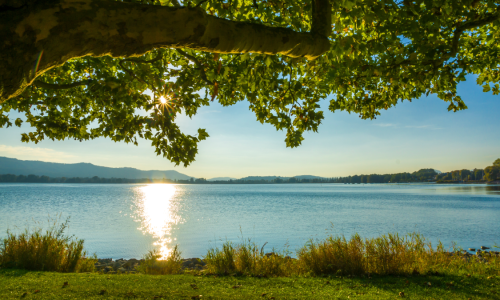 Meditationsretreat